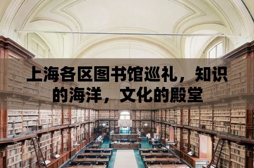 上海各區(qū)圖書館巡禮，知識的海洋，文化的殿堂