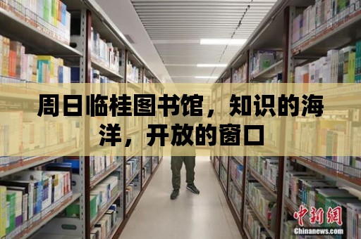 周日臨桂圖書館，知識的海洋，開放的窗口