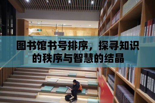 圖書館書號排序，探尋知識的秩序與智慧的結晶