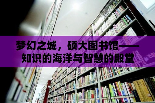 夢幻之城，碩大圖書館——知識的海洋與智慧的殿堂