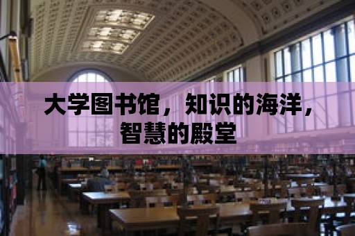 大學圖書館，知識的海洋，智慧的殿堂