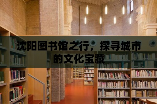 沈陽圖書館之行，探尋城市的文化寶藏