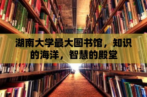 湖南大學最大圖書館，知識的海洋，智慧的殿堂