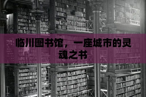 臨川圖書館，一座城市的靈魂之書