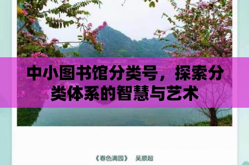 中小圖書館分類號，探索分類體系的智慧與藝術