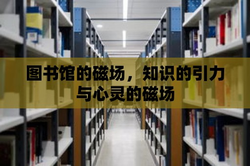 圖書館的磁場，知識的引力與心靈的磁場