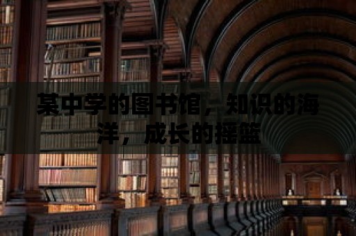 某中學(xué)的圖書館，知識的海洋，成長的搖籃