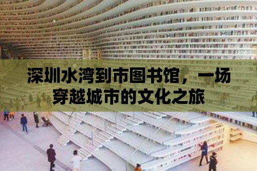 深圳水灣到市圖書館，一場穿越城市的文化之旅