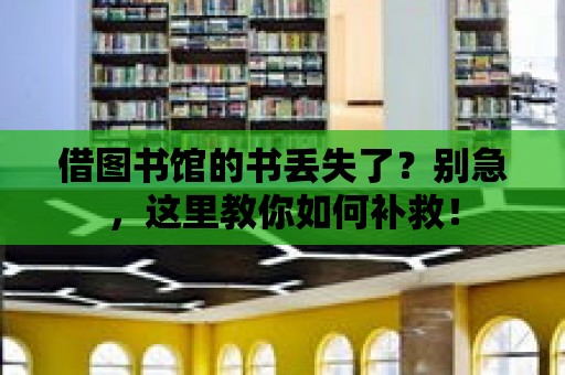 借圖書館的書丟失了？別急，這里教你如何補救！