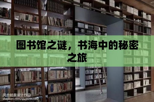 圖書館之謎，書海中的秘密之旅