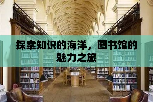 探索知識的海洋，圖書館的魅力之旅