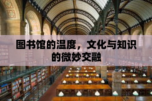 圖書館的溫度，文化與知識的微妙交融