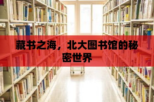 藏書之海，北大圖書館的秘密世界