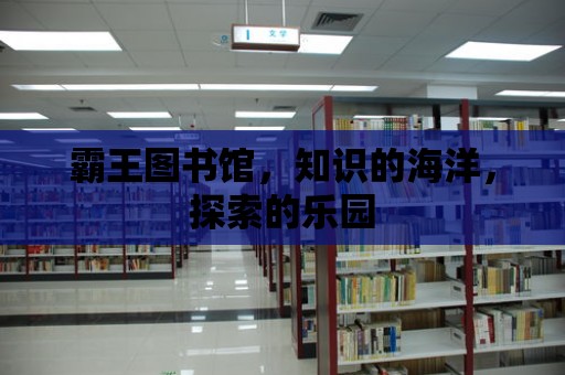 霸王圖書館，知識的海洋，探索的樂園