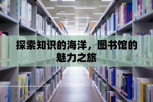 探索知識的海洋，圖書館的魅力之旅