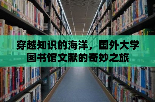 穿越知識的海洋，國外大學圖書館文獻的奇妙之旅