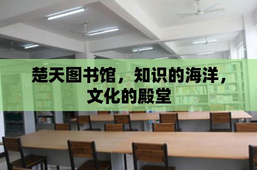 楚天圖書館，知識的海洋，文化的殿堂