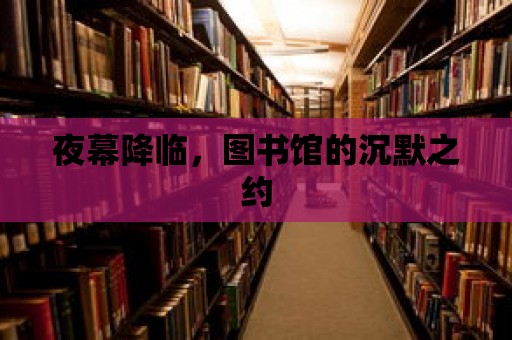 夜幕降臨，圖書館的沉默之約