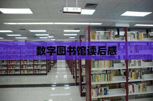 數(shù)字圖書館讀后感