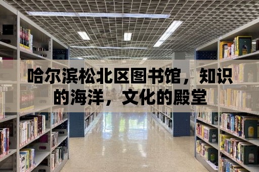 哈爾濱松北區圖書館，知識的海洋，文化的殿堂