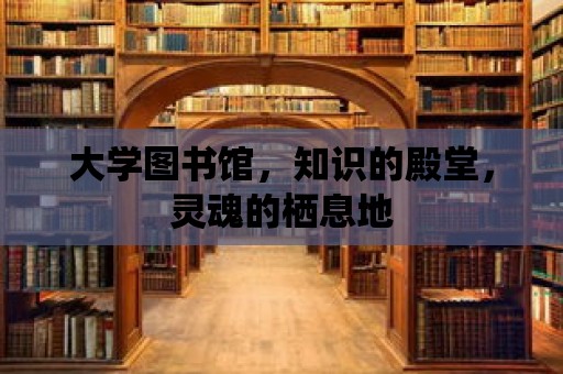 大學(xué)圖書館，知識(shí)的殿堂，靈魂的棲息地