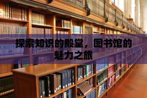 探索知識的殿堂，圖書館的魅力之旅