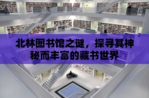 北林圖書館之謎，探尋其神秘而豐富的藏書世界