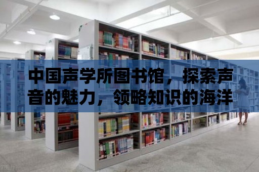 中國聲學所圖書館，探索聲音的魅力，領略知識的海洋