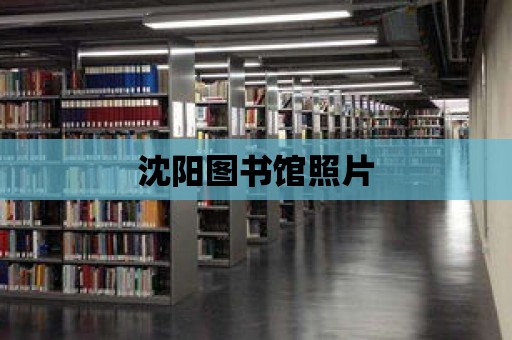 沈陽圖書館照片