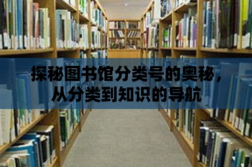 探秘圖書館分類號的奧秘，從分類到知識的導航