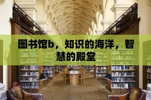 圖書館b，知識的海洋，智慧的殿堂