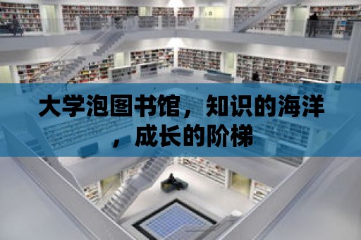 大學泡圖書館，知識的海洋，成長的階梯