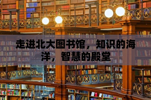 走進北大圖書館，知識的海洋，智慧的殿堂