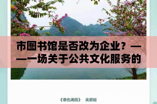 市圖書館是否改為企業？——一場關于公共文化服務的深思