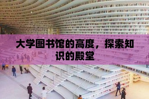 大學圖書館的高度，探索知識的殿堂