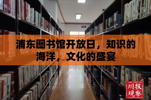 浦東圖書館開放日，知識的海洋，文化的盛宴