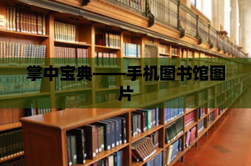 掌中寶典——手機(jī)圖書館圖片