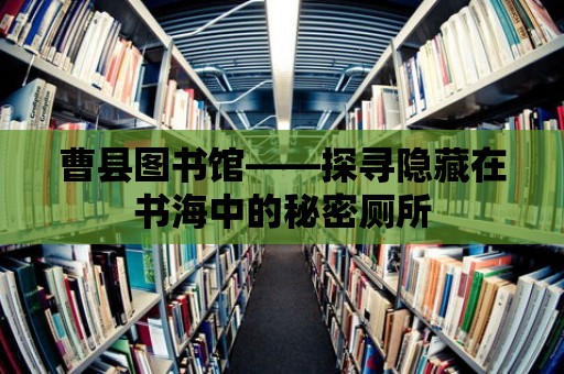 曹縣圖書館——探尋隱藏在書海中的秘密廁所