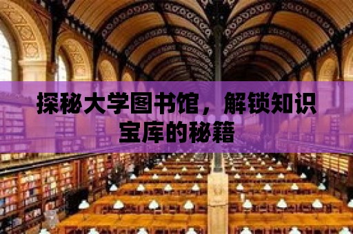 探秘大學(xué)圖書館，解鎖知識(shí)寶庫的秘籍