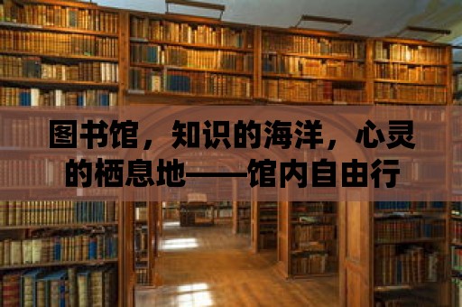 圖書館，知識的海洋，心靈的棲息地——館內(nèi)自由行