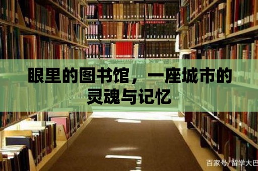 眼里的圖書館，一座城市的靈魂與記憶