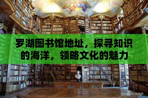 羅湖圖書館地址，探尋知識的海洋，領略文化的魅力