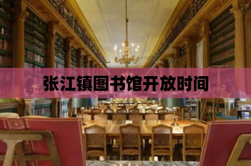 張江鎮圖書館開放時間