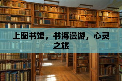 上圖書館，書海漫游，心靈之旅