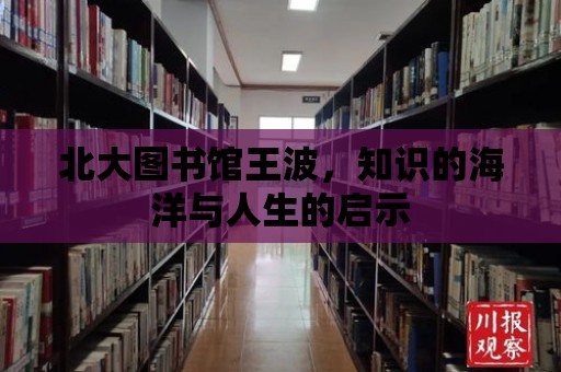 北大圖書館王波，知識的海洋與人生的啟示