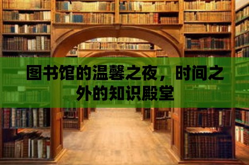 圖書館的溫馨之夜，時間之外的知識殿堂