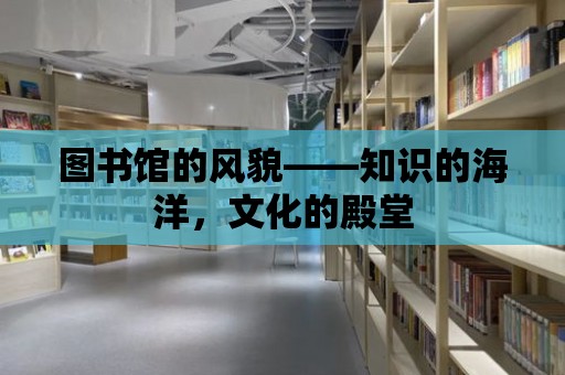 圖書館的風貌——知識的海洋，文化的殿堂