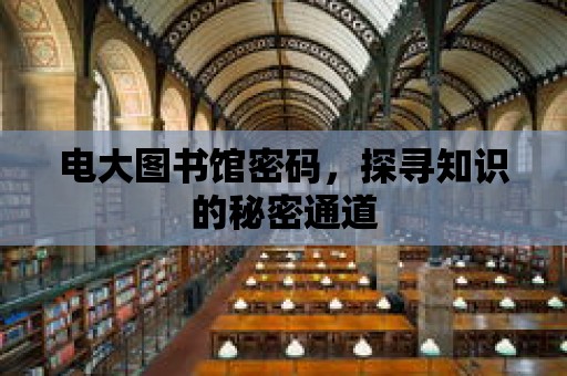 電大圖書館密碼，探尋知識的秘密通道