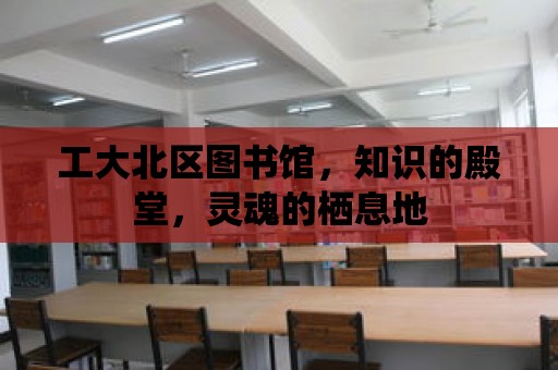 工大北區(qū)圖書館，知識的殿堂，靈魂的棲息地