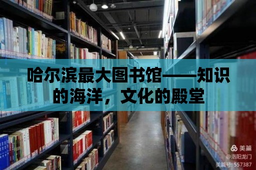 哈爾濱最大圖書館——知識的海洋，文化的殿堂